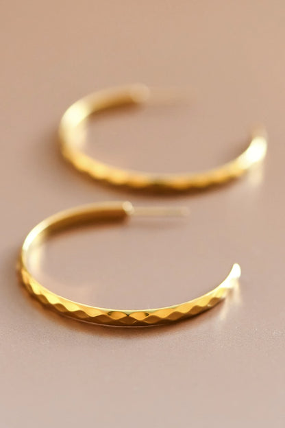 18k Gold Plated Waterproof Stainless Steel Hoop Earrings